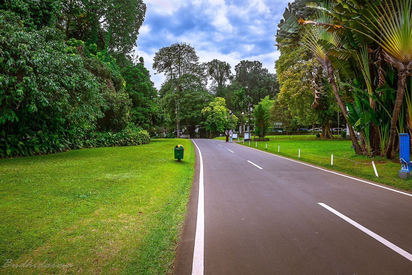 Taman Safari Indonesia, Cisarua: Beyond the Safari Drive