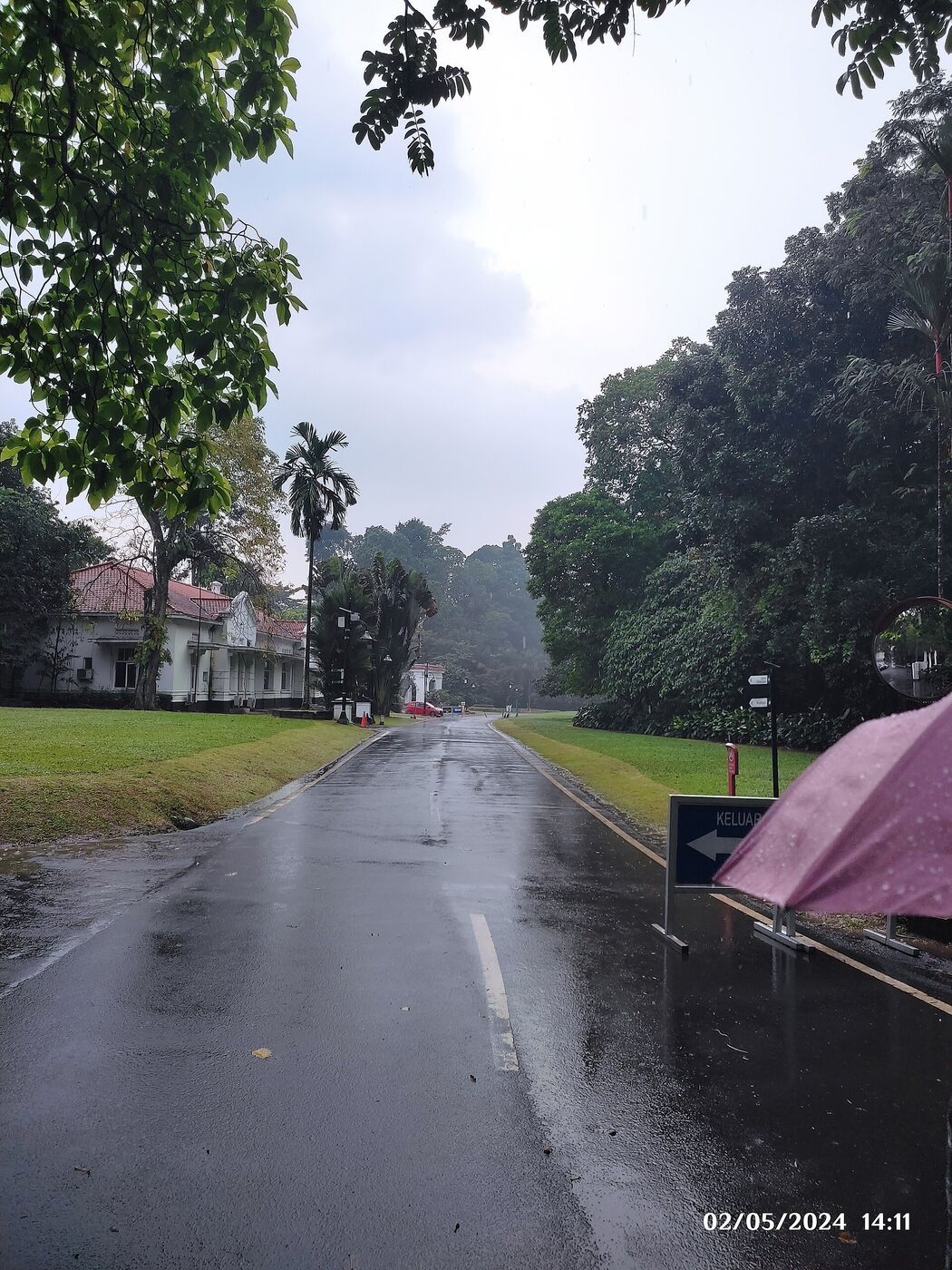 A Rainy-Day Bogor Itinerary: Embrace the Rain City