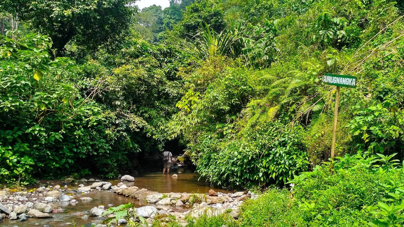Highland Birdwatching Around Bogor